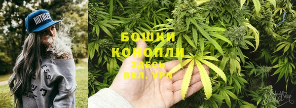 бошки Алзамай