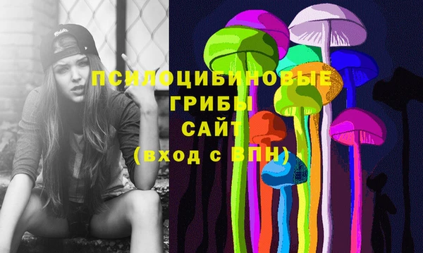 бошки Алзамай
