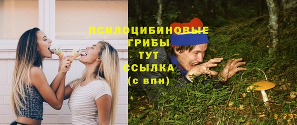 бошки Алзамай