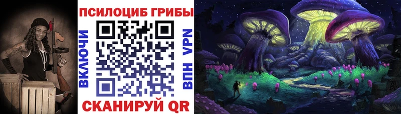 Купить  Котельнич  Галлюциногенные грибы Magic Shrooms 